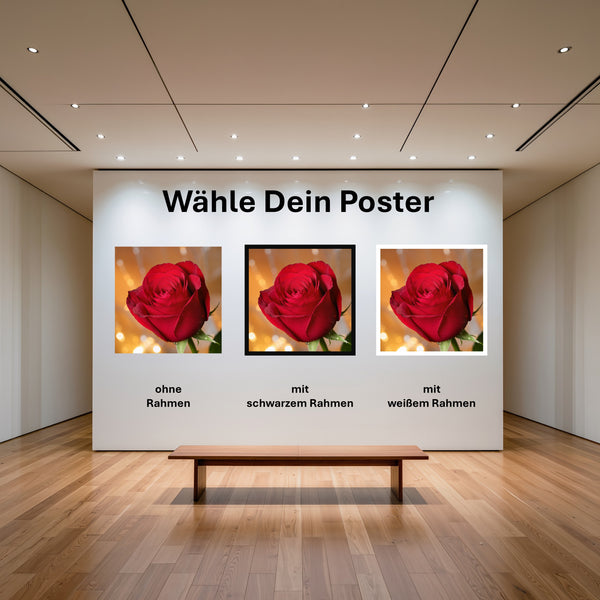 Poster Rote Rose in voller Blüte B-00017 mit und ohne Rahmen