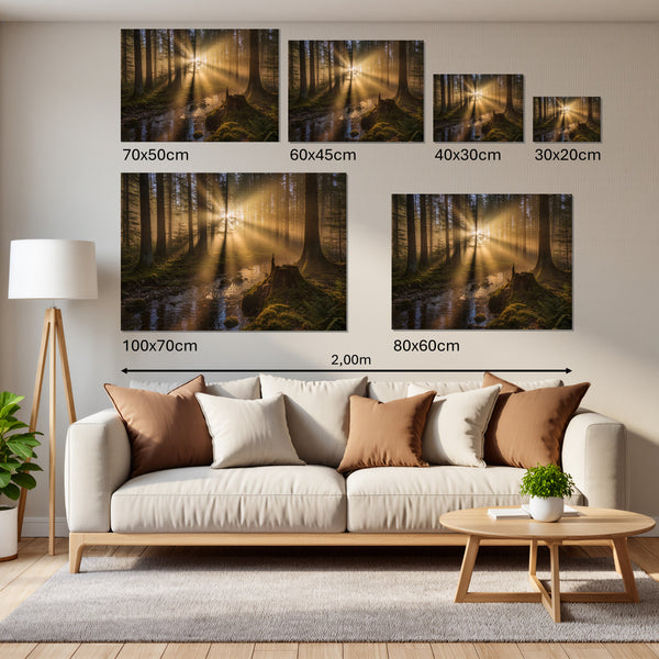Groessenvergleich Leinwandbild Mystischer Wald mit Sonnenstrahlen Querformat