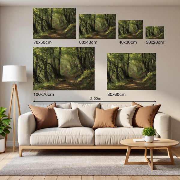 Groessenvergleich Poster Wandbilder Waldweg im Morgenlicht Querformat