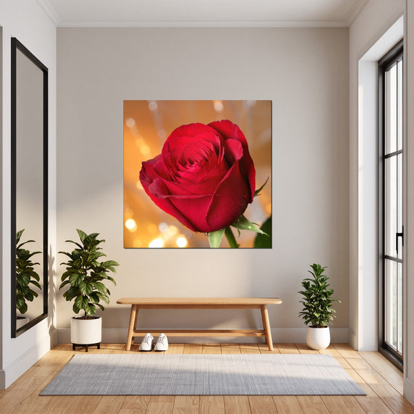 Leinwandbild Rote Rose in voller Blüte B-00017 fuer Flur und Eingang dunkelanthrazit Quadrat