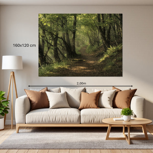 Leinwandbild Waldweg im Morgenlicht160x120 cm Querformat
