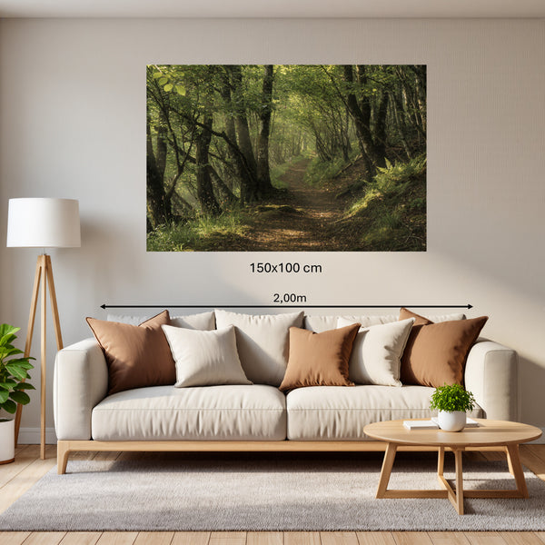 Poster Wandbild 150x100 cm Waldweg im Morgenlicht Querformat