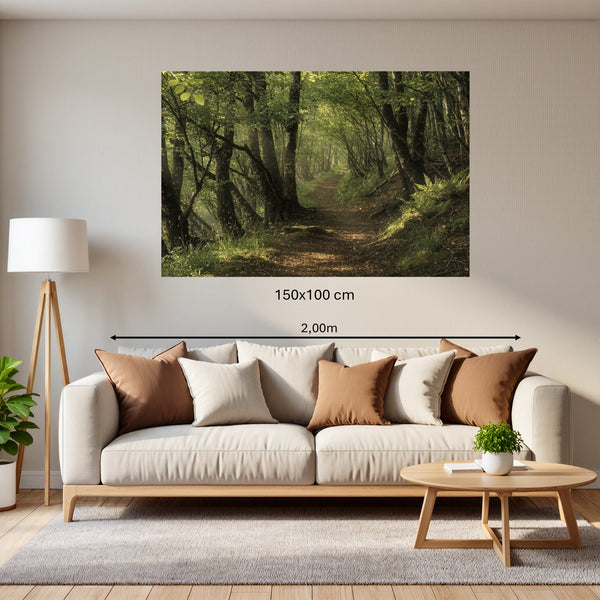 Poster Wandbild 150x100 cm Waldweg im Morgenlicht Querformat