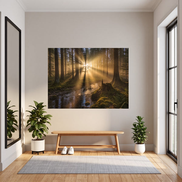Poster Wandbild Mystischer Wald mit Sonnenstrahlen fuer Flur und Eingang dunkelanthrazit Querformat