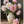 4d079638-caa3-40cb-8685-fd433307d942