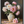 5469dff0-6714-4a3c-87d0-6f29797da3b0