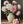 8500e896-870f-42e3-800c-d980a1dc2a77