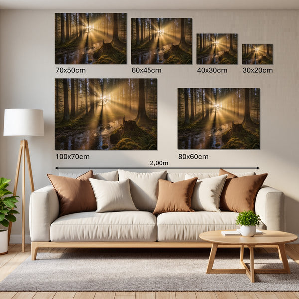 Groessenvergleich Leinwandbild Mystischer Wald mit Sonnenstrahlen Querformat