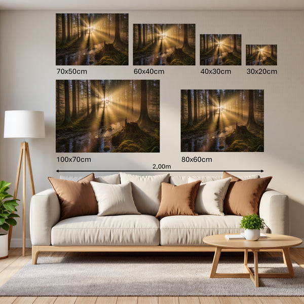 Groessenvergleich Poster Wandbilder Mystischer Wald mit Sonnenstrahlen Querformat