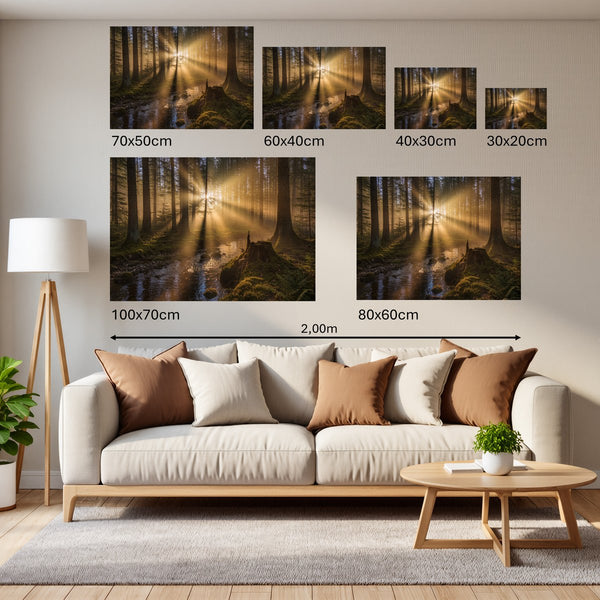 Groessenvergleich Poster Wandbilder Mystischer Wald mit Sonnenstrahlen Querformat