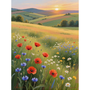 Hauptbild Blühende Wiesen im Sonnenuntergang