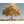 Hauptbild Goldener Baum unter blauem Himmel