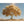Hauptbild Goldener Baum unter blauem Himmel