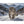 Hauptbild Schneeleopard im Winterwunderland