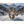 Hauptbild Schneeleopard im Winterwunderland