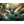 Hauptbild Schwebender Kolibri