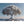 Hauptbild Silberner Baum im Wasser