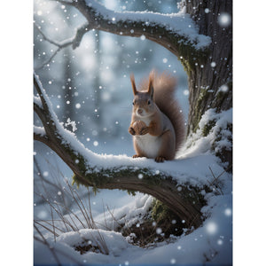 Hauptbild Winterliche Eichhörnchenfreude
