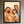 Dein Lieblingsfoto als KI-Kunstwerk - personalisierte Leinwand