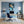 Leinwandbild Entspanntes Löwenbaby im Glas fuer Buero und Arbeitszimmer blau Hochformat