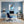 Leinwandbild Entspanntes Nashorn im Glas fuer Buero und Arbeitszimmer blau Hochformat