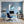 Leinwandbild Entspanntes Nashorn im Glas fuer Buero und Arbeitszimmer blau Hochformat