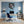 Leinwandbild Entspanntes Nilpferd im Glas fuer Buero und Arbeitszimmer blau Hochformat