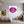 Leinwandbild Lebendige Lippen fuer Jugendzimmer grauoderbeige Quadrat