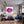 Leinwandbild Lebendige Lippen fuer Jugendzimmer warmeFarben Quadrat