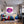 Leinwandbild Lebendige Lippen fuer Jugendzimmer warmeFarben Quadrat