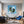 Leinwandbild Magische Natur in einer Seifenblase fuer Wohnzimmer blau Quadrat