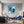 Leinwandbild Magische Natur in einer Seifenblase fuer Wohnzimmer blau Quadrat