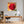 Leinwandbild Rote Rose in voller Blüte B-00017 fuer Buero und Arbeitszimmer dunkelanthrazit Quadrat