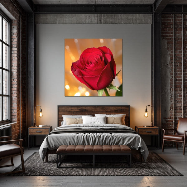 Leinwandbild Rote Rose in voller Blüte B-00017 fuer Schlafzimmer dunkelanthrazit Quadrat
