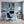 Leinwandbild Verspieltes Zebra im Wasser fuer Buero und Arbeitszimmer blau Hochformat