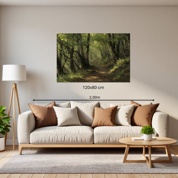 Leinwandbild Waldweg im Morgenlicht120x80 cm Querformat