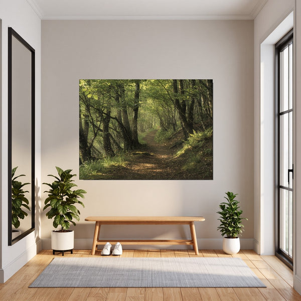 Leinwandbild Waldweg im Morgenlicht fuer Flur und Eingang dunkelanthrazit Querformat