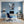 Leinwandbild Winterliche Eichhörnchenfreude fuer Buero und Arbeitszimmer blau Hochformat
