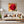 Poster Wandbild 100x100 cm Rote Rose in voller Blüte B-00017 Quadrat
