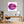 Poster Wandbild Lebendige Lippen fuer Buero und Arbeitszimmer warmeFarben Quadrat