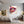 Poster Wandbild Lebendige Lippen mit Farbträumen fuer Jugendzimmer grauoderbeige Quadrat