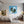 Poster Wandbild Magische Natur in einer Seifenblase fuer Jugendzimmer gruen Quadrat