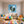 Poster Wandbild Magische Natur in einer Seifenblase fuer Kinderzimmer Quadrat