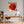 Poster Wandbild Rote Rose in voller Blüte B-00017 fuer Buero und Arbeitszimmer warmeFarben Quadrat