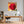 Poster Wandbild Rote Rose in voller Blüte B-00017 fuer Buero und Arbeitszimmer warmeFarben Quadrat