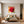 Poster Wandbild Rote Rose in voller Blüte B-00017 fuer Schlafzimmer gruen Quadrat