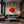 Poster Wandbild Rote Rose in voller Blüte B-00017 fuer Wohnzimmer dunkelanthrazit Quadrat
