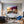 Poster Wandbild Sonnenuntergang mit Bougainvillea fuer Wohnzimmer blau Querformat