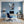 Poster Wandbild Winterliche Eichhörnchenfreude fuer Buero und Arbeitszimmer blau Hochformat